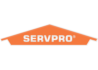 ServoPro